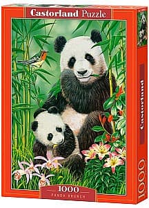 Puzzle Castorland C-104987