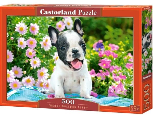 Puzzle Castorland B-53650