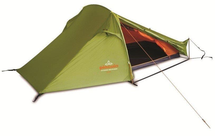 Cort Pinguin Echo 1 Green