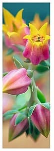Puzzle Trefl 75005