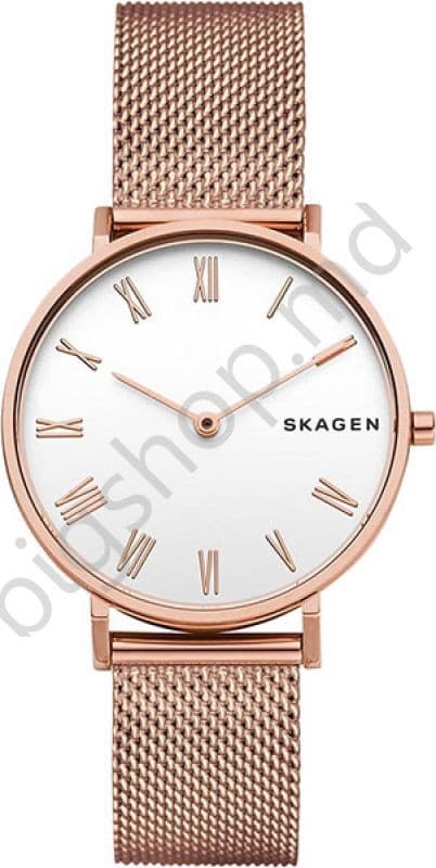 Наручные часы SKAGEN SKW2714