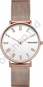 Ceas de mână SKAGEN SKW2714