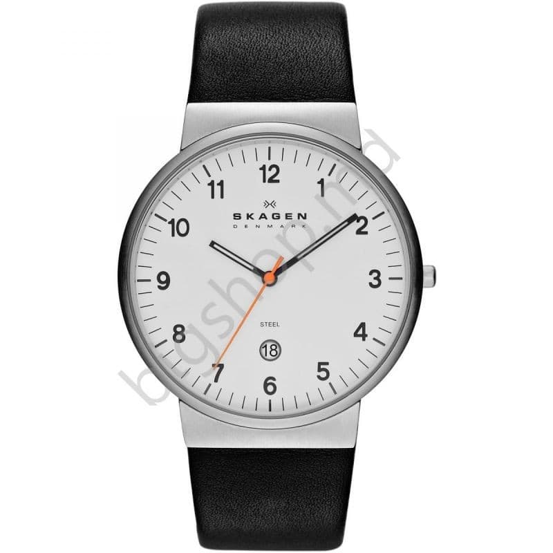 Наручные часы SKAGEN SKW6024