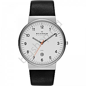 Наручные часы SKAGEN SKW6024