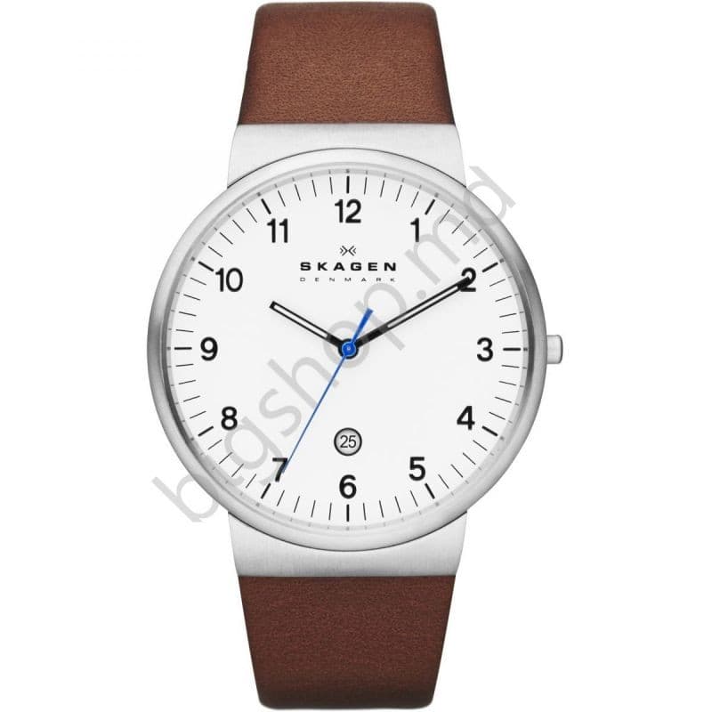 Наручные часы SKAGEN SKW6082