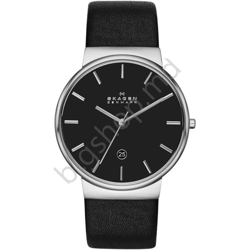 Наручные часы SKAGEN SKW6104