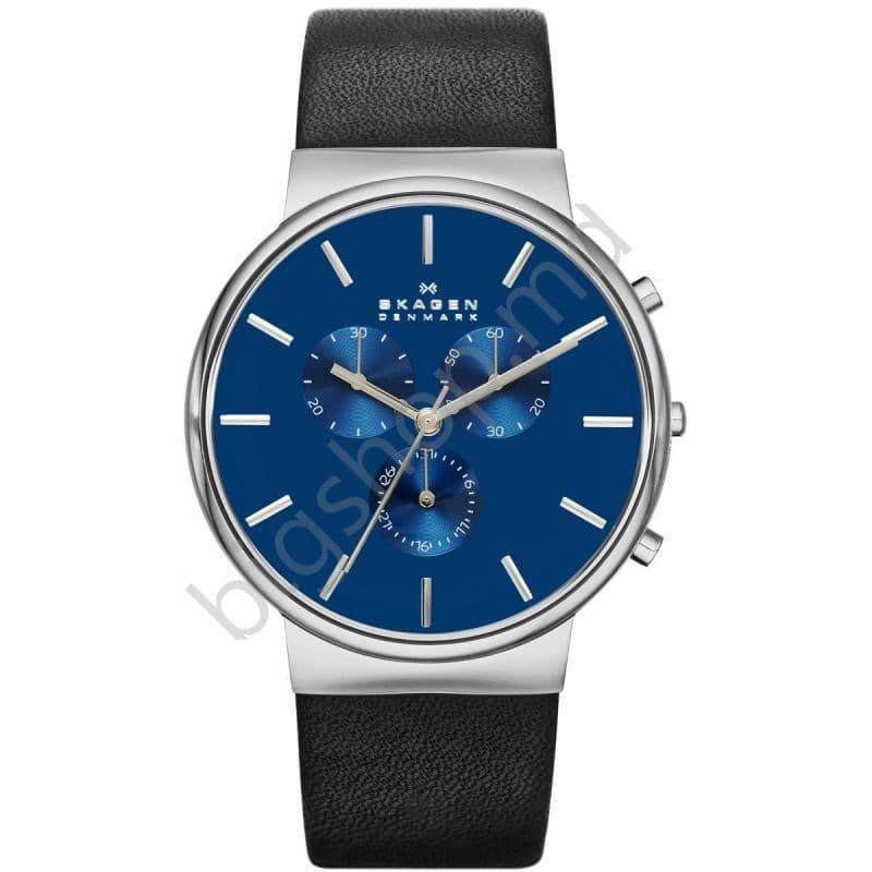 Наручные часы SKAGEN SKW6105