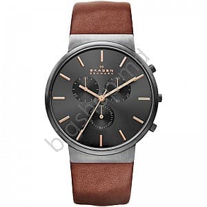 Наручные часы SKAGEN SKW6106