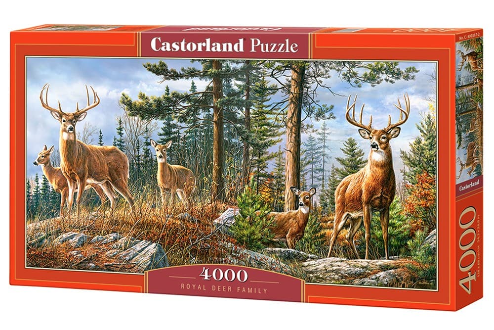 Puzzle Castorland C-400317