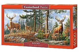 Puzzle Castorland C-400317