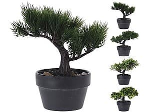  NVT Bonsai 20cm