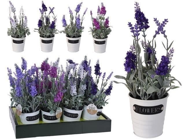  NVT Lavanda 29cm