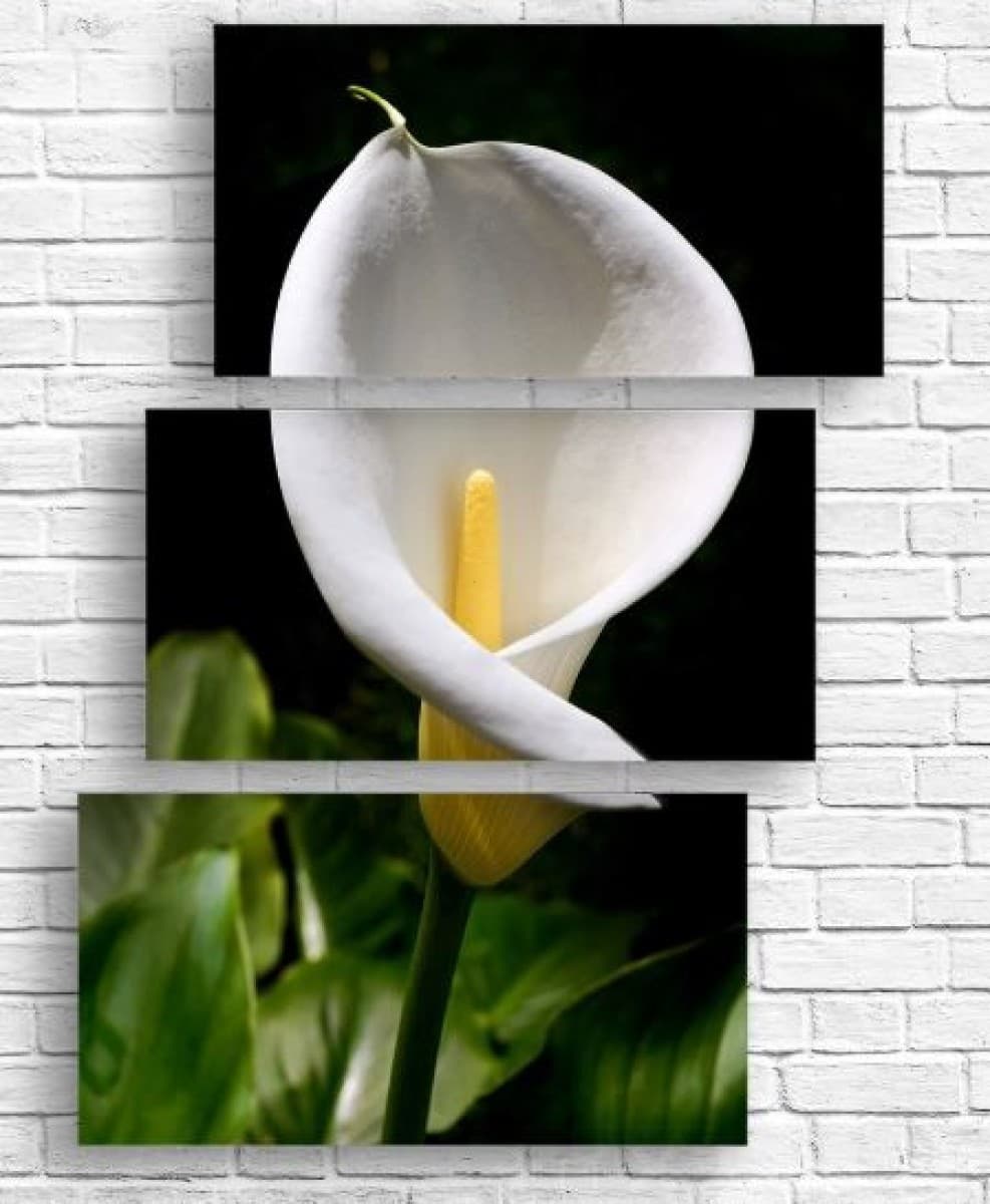 Модульная картина Art.Desig КАЛЛЫ 2