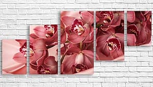 Tablou multicanvas Art.Desig ORCHIDEE ROSIE