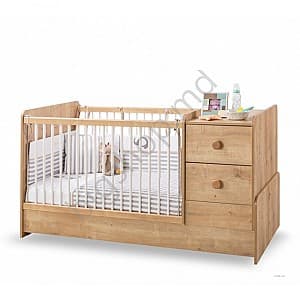 Patuc Cilek Mocha Baby P1
