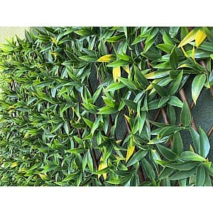 Plasa decorativa Greentech Willow-Yellow