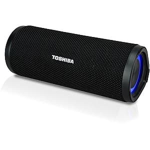 Портативная колонка Toshiba TY-WSP102