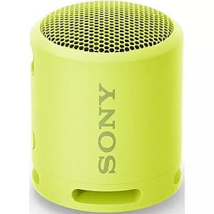 Портативная колонка Sony SRSXB13Y