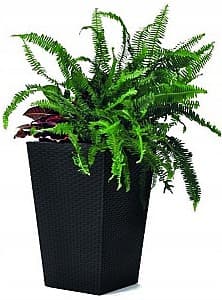  Keter Rattan Planter S Anthracite