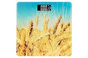 Cantar Ardesto SCB-965WHEAT