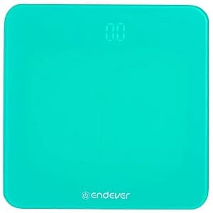 Cantar Endever Aurora-601