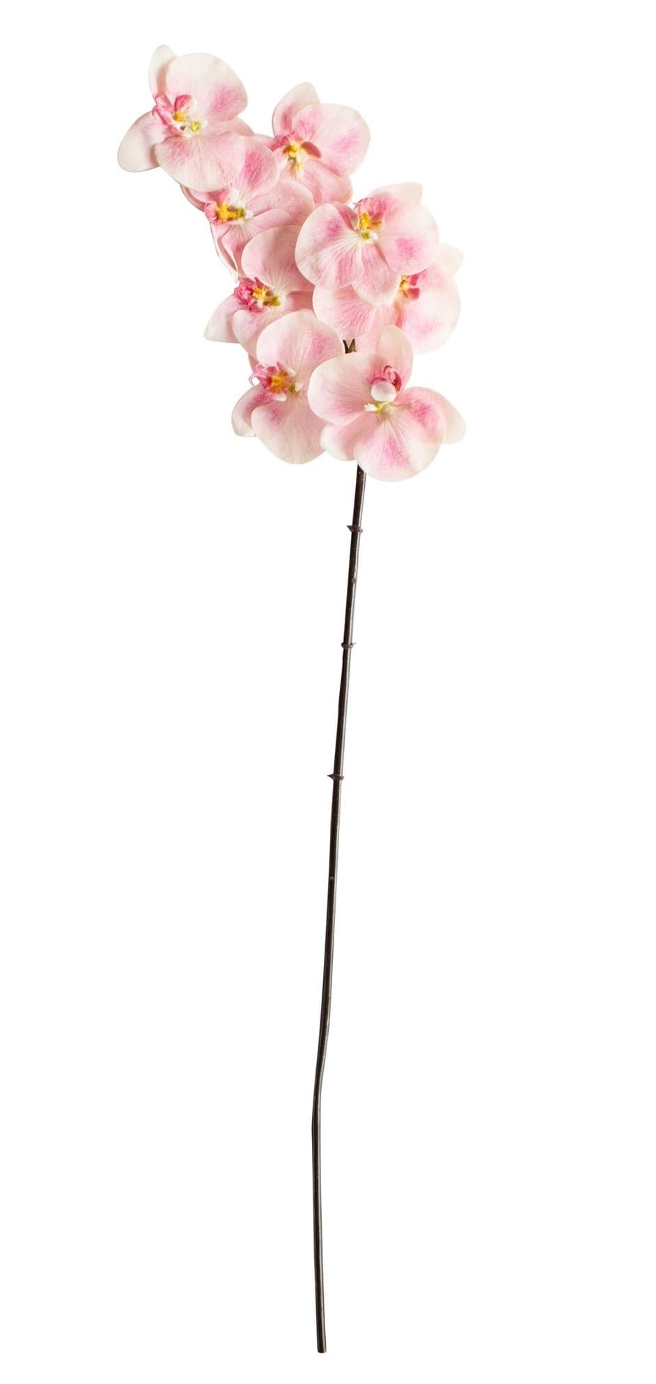  Casa Masa Orhidee 94 cm roz