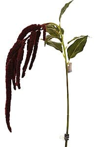  Casa Masa Amaranthus 110 cm бордовый