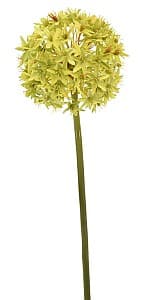  Casa Masa Allium 60 cm verde