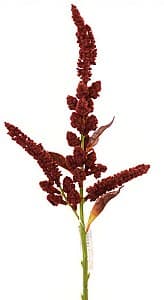  Casa Masa Amaranthus 85 cm bordo