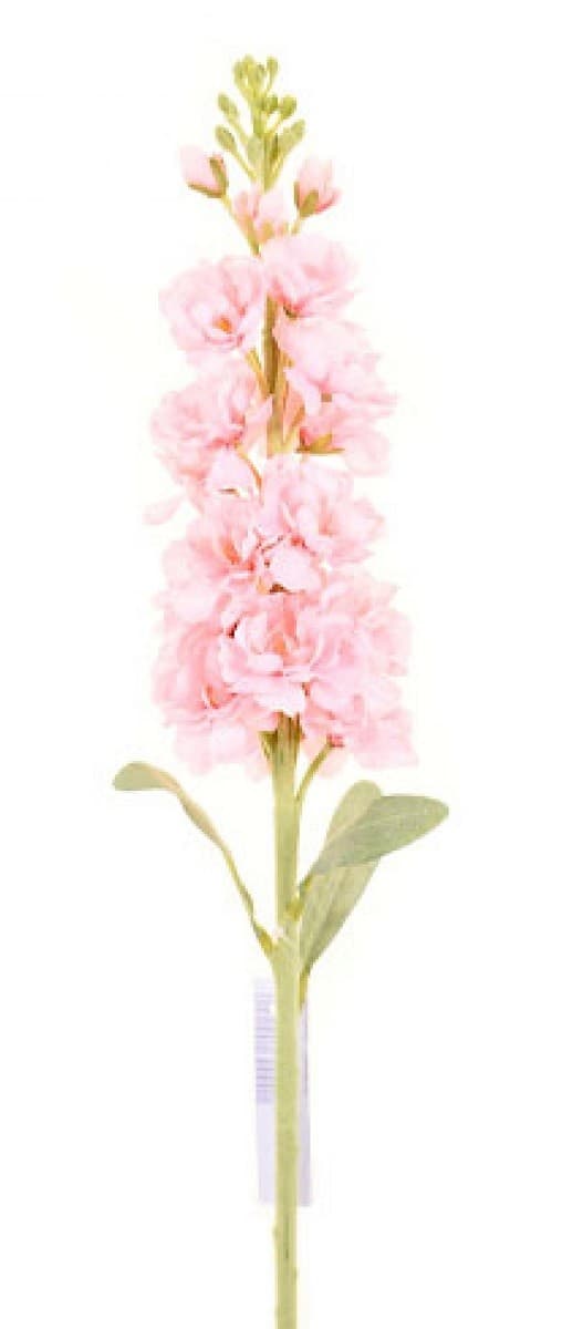  Casa Masa Delphinium 80 cm roz