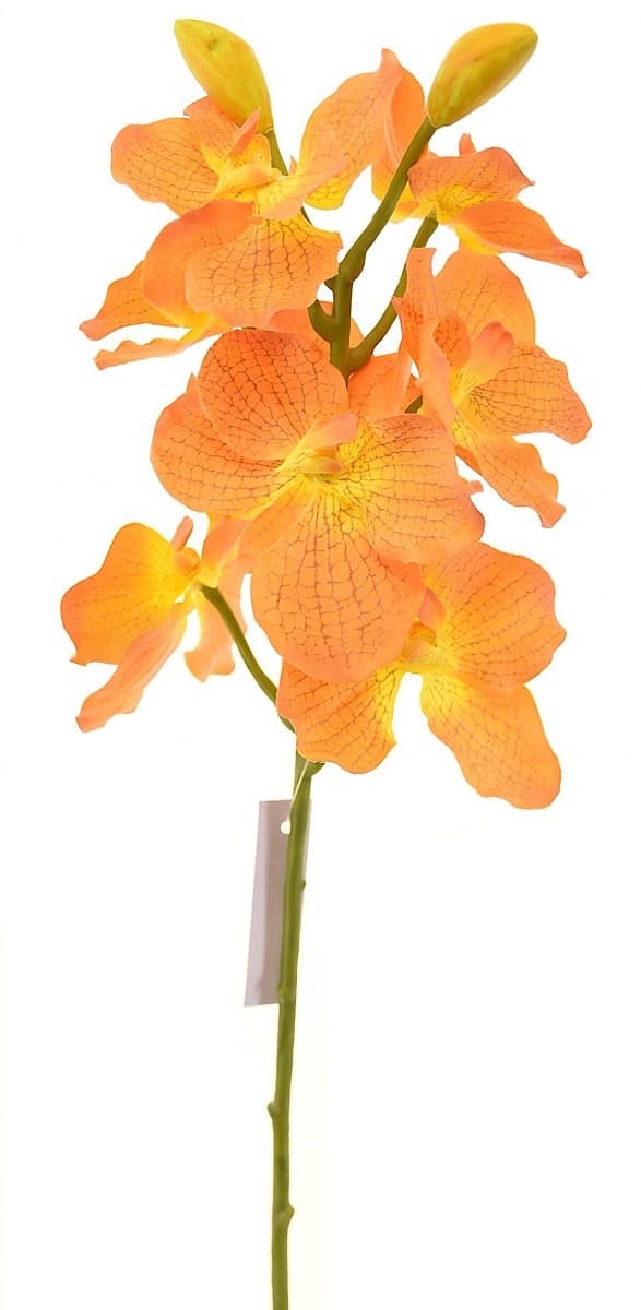  Casa Masa Orhidee Vanda 68 cm orange