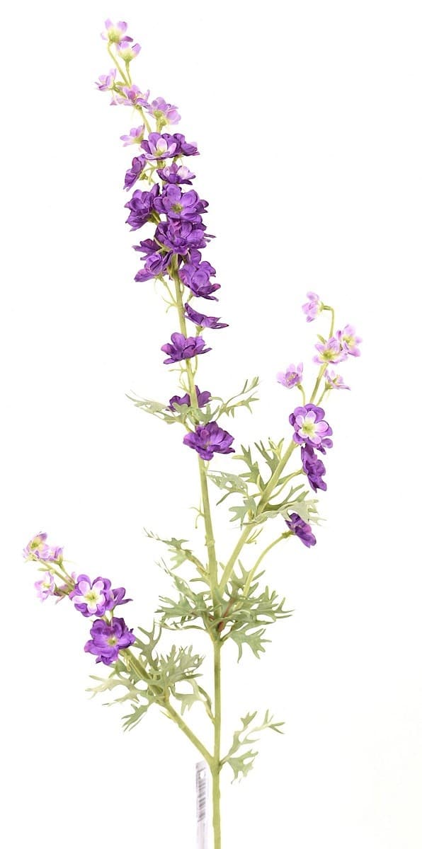  Casa Masa Delphinium 82 cm