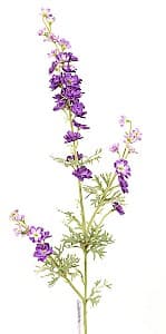  Casa Masa Delphinium 82 cm