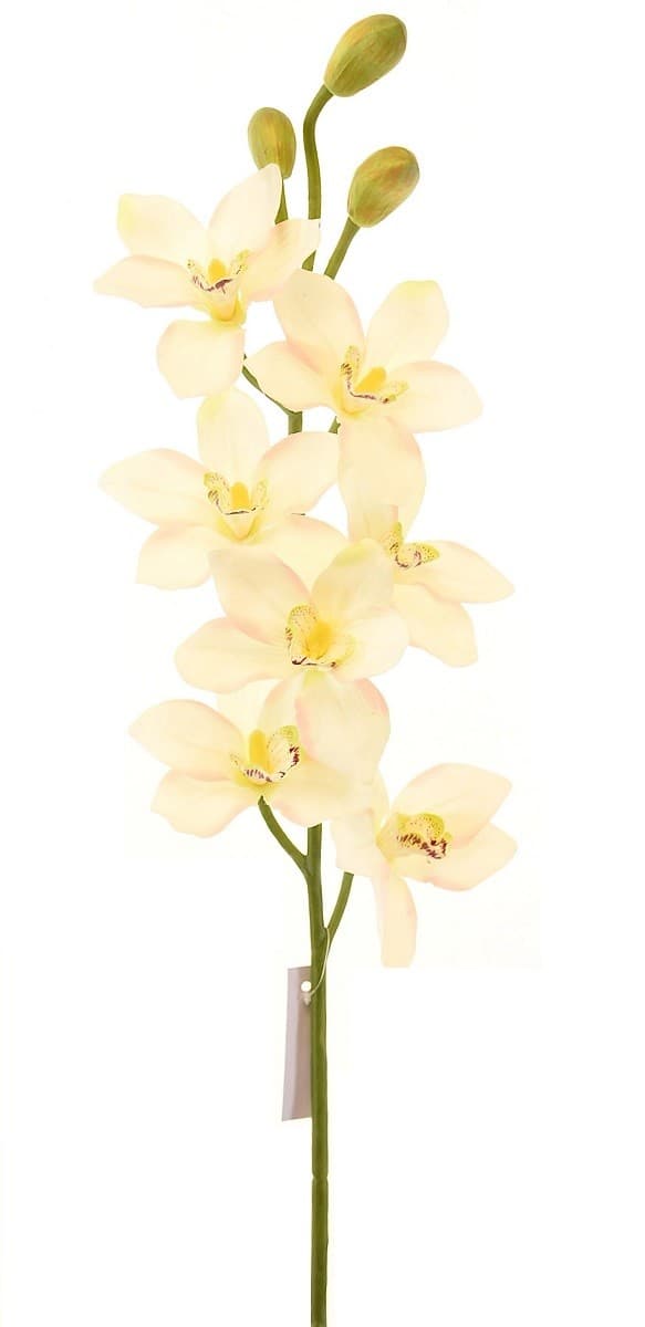  Casa Masa Orhidee Cymbidium 94 cm crem