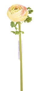  Casa Masa Ranunculus 60 cm crem-roz