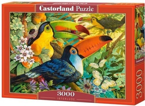 Puzzle Castorland C-300433