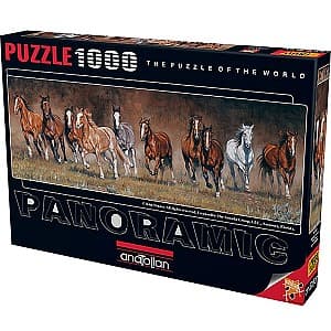 Puzzle Anatolian A1010