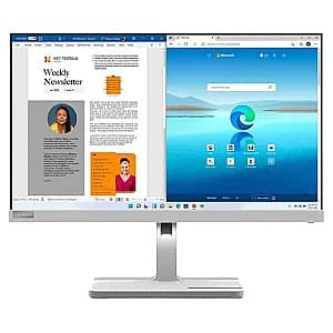 Монитор Lenovo L24m-40 Cloud Grey