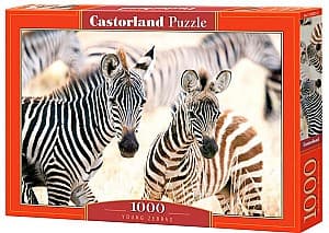 Пазлы Castorland C-105021