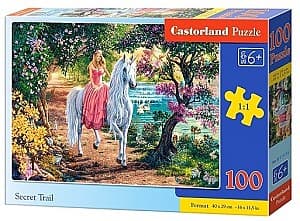Puzzle Castorland B-111114