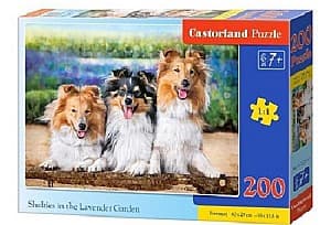 Puzzle Castorland B-222117