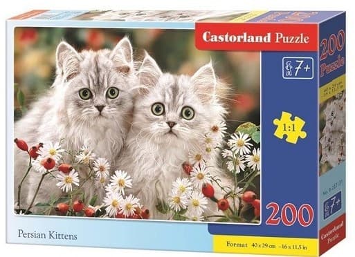 Пазлы Castorland B-222131