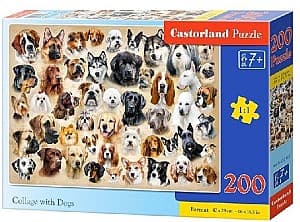 Puzzle Castorland B-222162