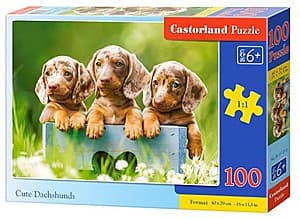 Пазлы Castorland B-111213
