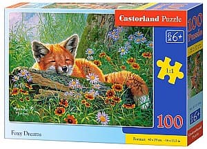 Puzzle Castorland B-111244