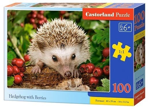 Puzzle Castorland B-111145