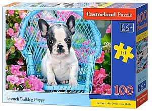 Puzzle Castorland B-111152