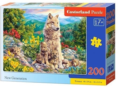 Puzzle Castorland B-222087