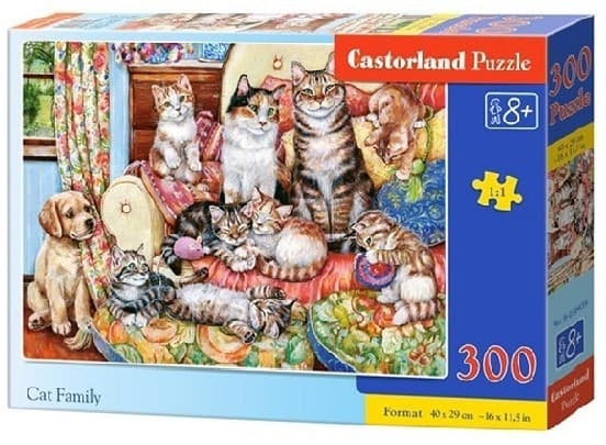 Пазлы Castorland B-030439