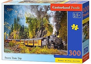 Пазлы Castorland B-030446